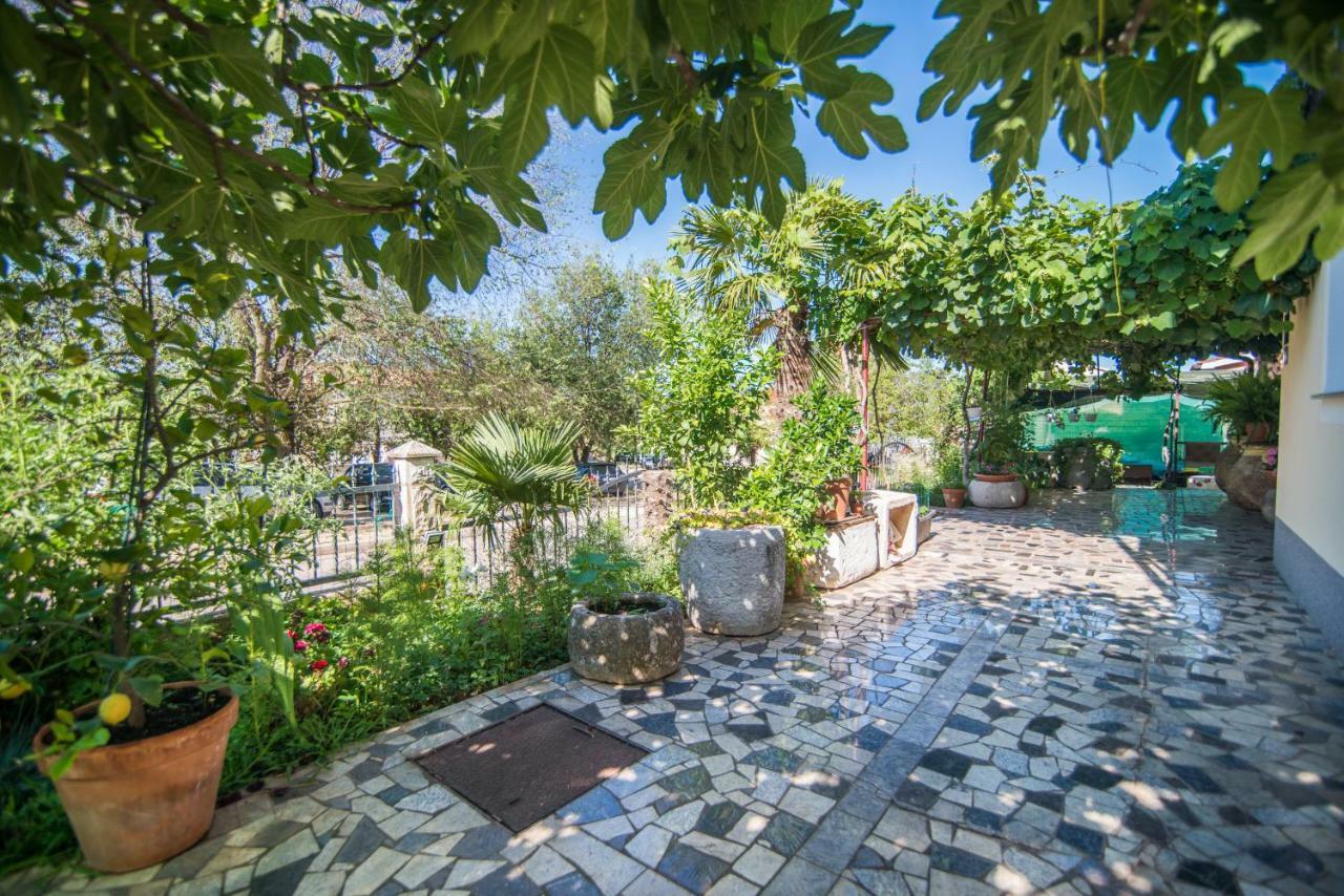Apartament Marina